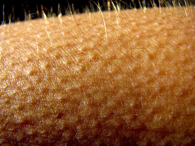 What Gives You Goosebumps?